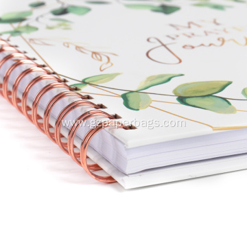 Monthly Reflections: A Journey of Gratitude and Faith